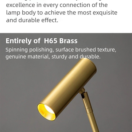 Kimphoria Modern Minimalist Brass / Matte Black Floor Lamp, 3 Color Dimmable, Rotatable Head