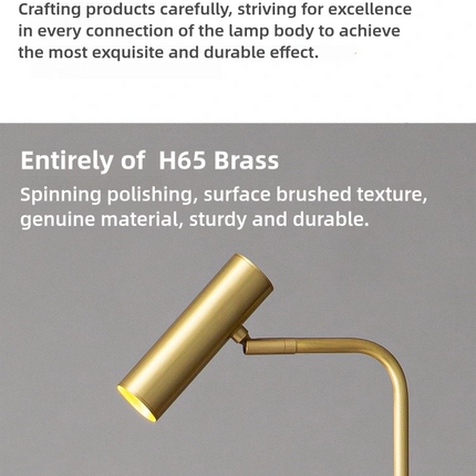 Kimphoria Modern Minimalist Brass / Matte Black Floor Lamp, 3 Color Dimmiable, Eye caring, Rotatable Head