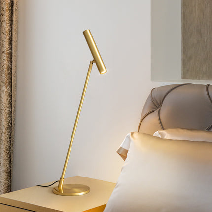 Kimphoria Modern Minimalist Desk Lamp Adjustable Lighting Color, Adjustable Head
