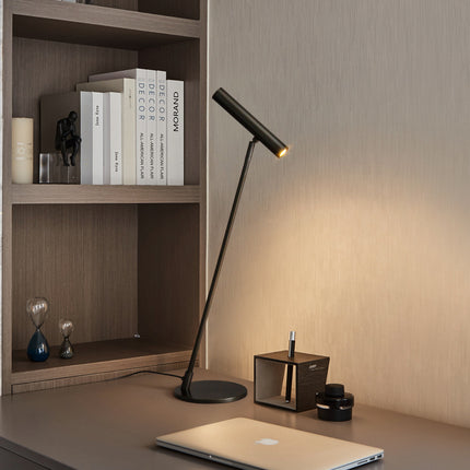 Kimphoria Modern Minimalist Desk Lamp Adjustable Lighting Color, Adjustable Head