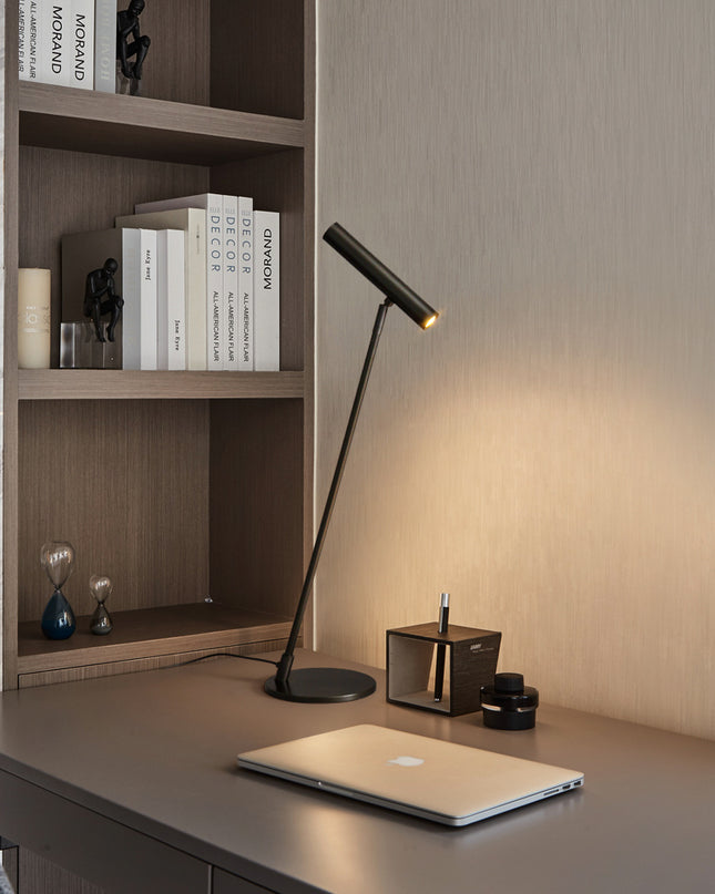 Kimphoria Modern Minimalist Desk Lamp Adjustable Lighting Color, Adjustable Head