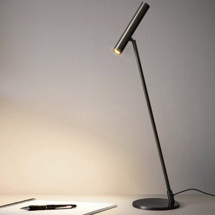 Kimphoria Modern Minimalist Desk Lamp Adjustable Lighting Color, Adjustable Head