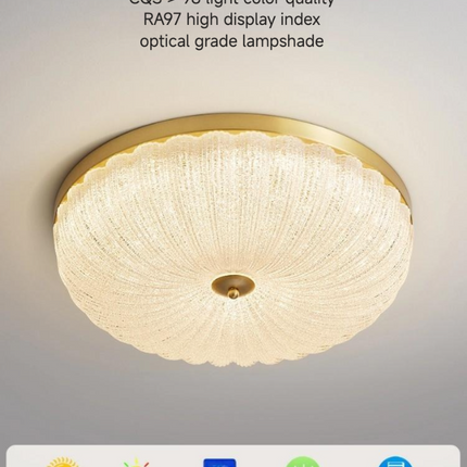 Kimphoria Modern Minimalist 3 Color Dimmable Brass / Matte Black Flush Mount