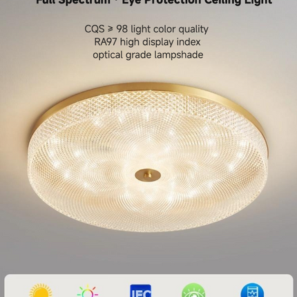 Kimphoria Modern Minimalist 3 Color Dimmable Brass / Matte Black Flush Mount