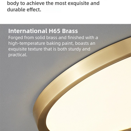 Kimphoria Modern Minimalist 3 Color Dimmable Brass Acrylic Flush Mount
