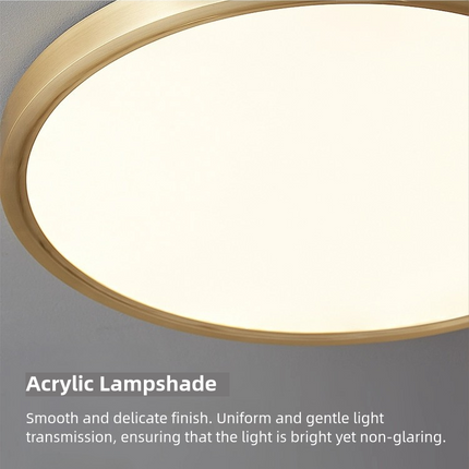 Kimphoria Modern Minimalist 3 Color Dimmable Brass Acrylic Flush Mount