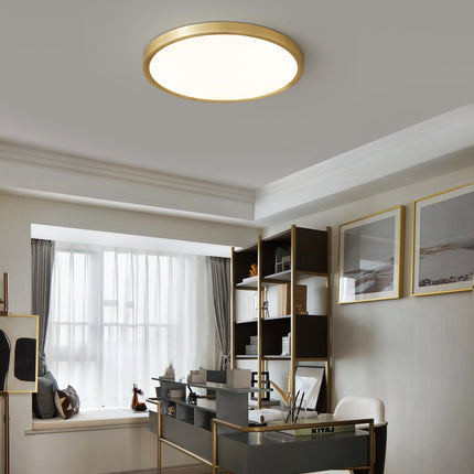Kimphoria Modern Minimalist 3 Color Dimmable Brass Acrylic Flush Mount