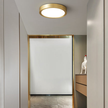 Kimphoria Modern Minimalist 3 Color Dimmable Brass Acrylic Flush Mount
