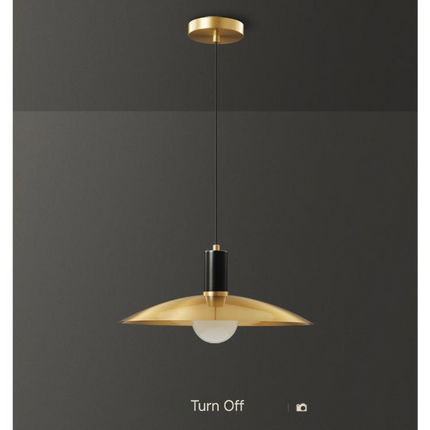 Kimphoria Modern Minimalist, Adjustable Height, Brass / Black Pendant